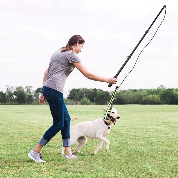 Poste Telescópico Interactivo para Mascotas