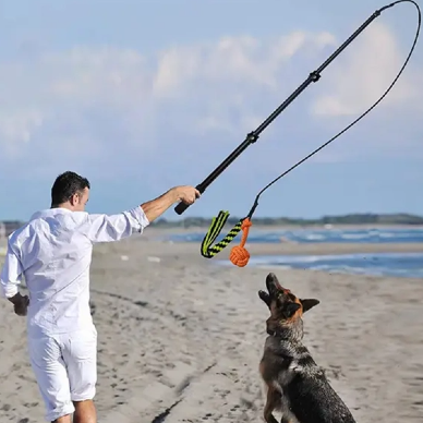 Desbloquear la diversi&oacute;n con su mascota: usos creativos del polo telesc&oacute;pico de aluminio en el juego interactivo